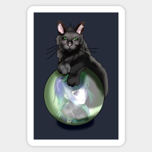 Black fluffy cat with a crystal ball Sticker